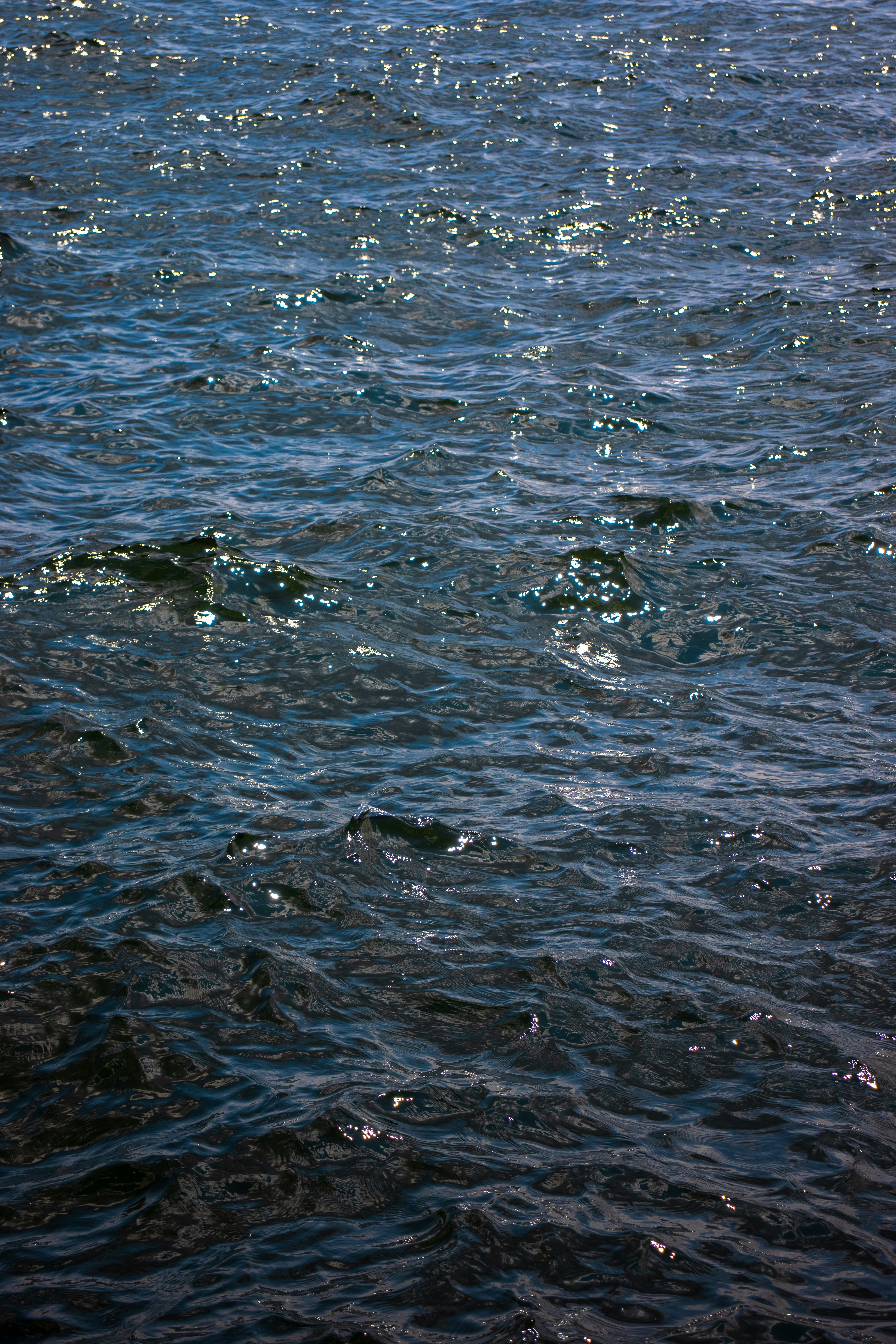 Photo by sinabahar76