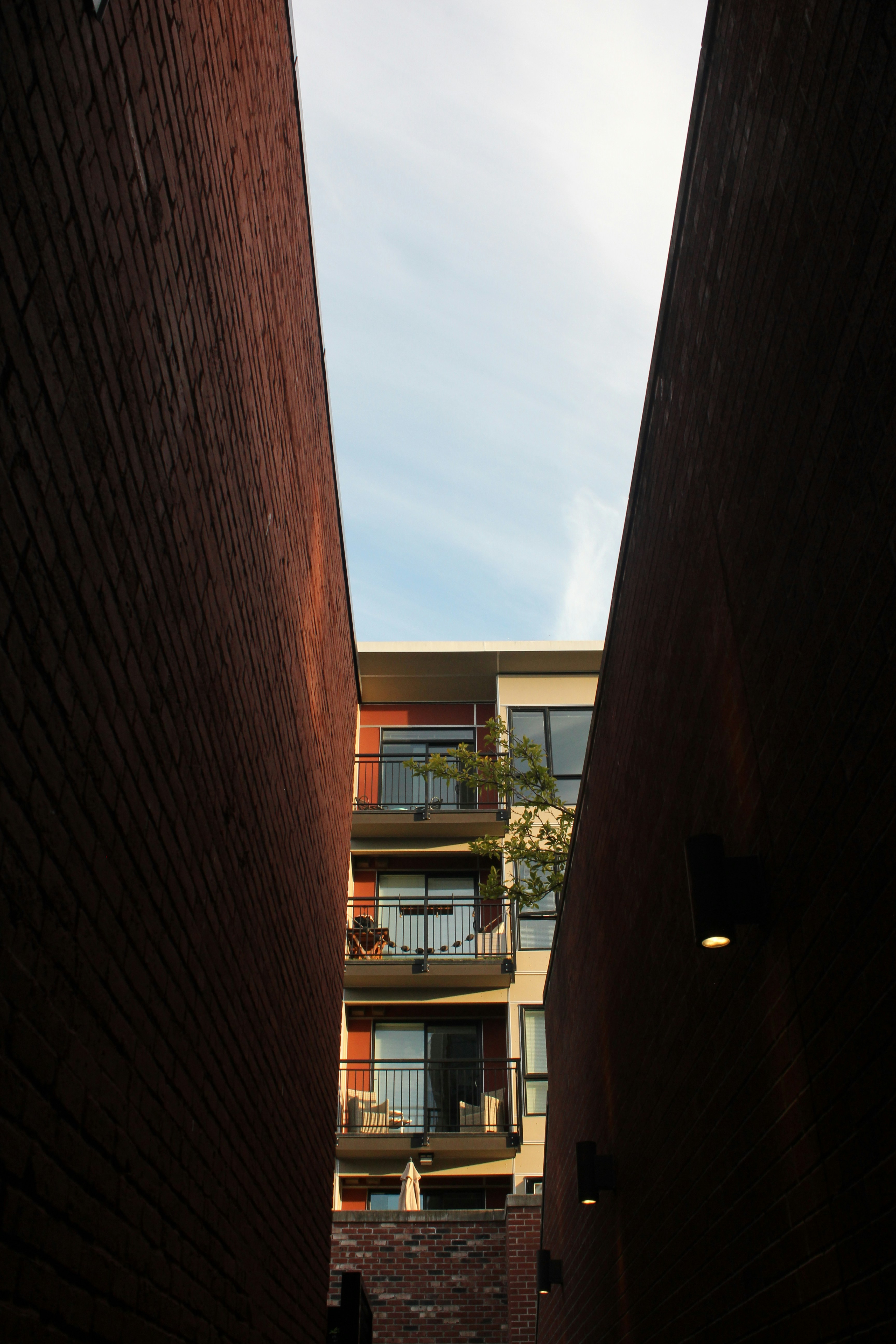 Photo by framesofritu