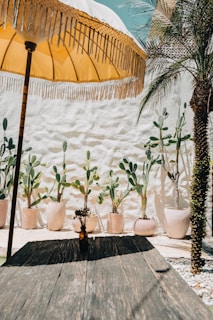A beautiful outdoor space shaded by custom awnings from Toldos del Sol.