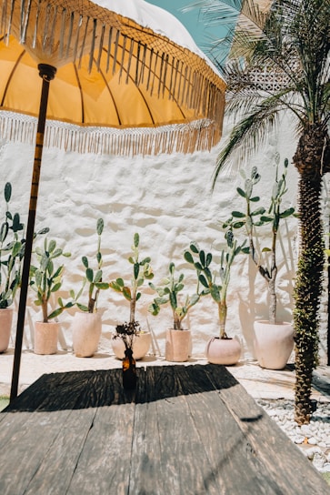 A beautiful outdoor space shaded by custom awnings from Toldos del Sol.