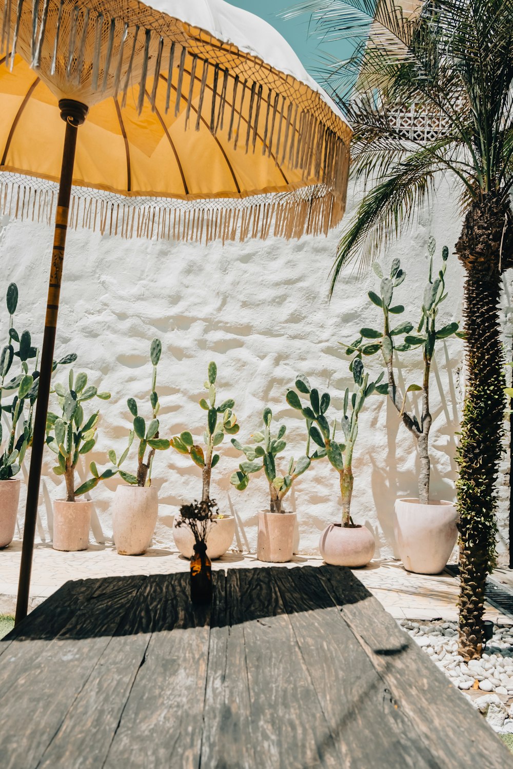 a wooden table topped with potted plants under a yellow umbrella