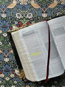 Open dictionary with highlighted biblical terms and a soft blue background.