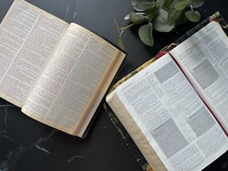 Two open books with text visible, laying on a dark surface. There is a plant with green leaves positioned near the books.