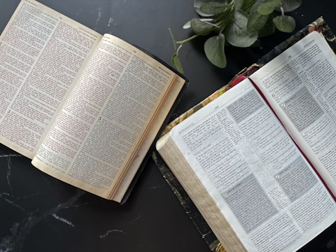 Two open books with text visible, laying on a dark surface. There is a plant with green leaves positioned near the books.