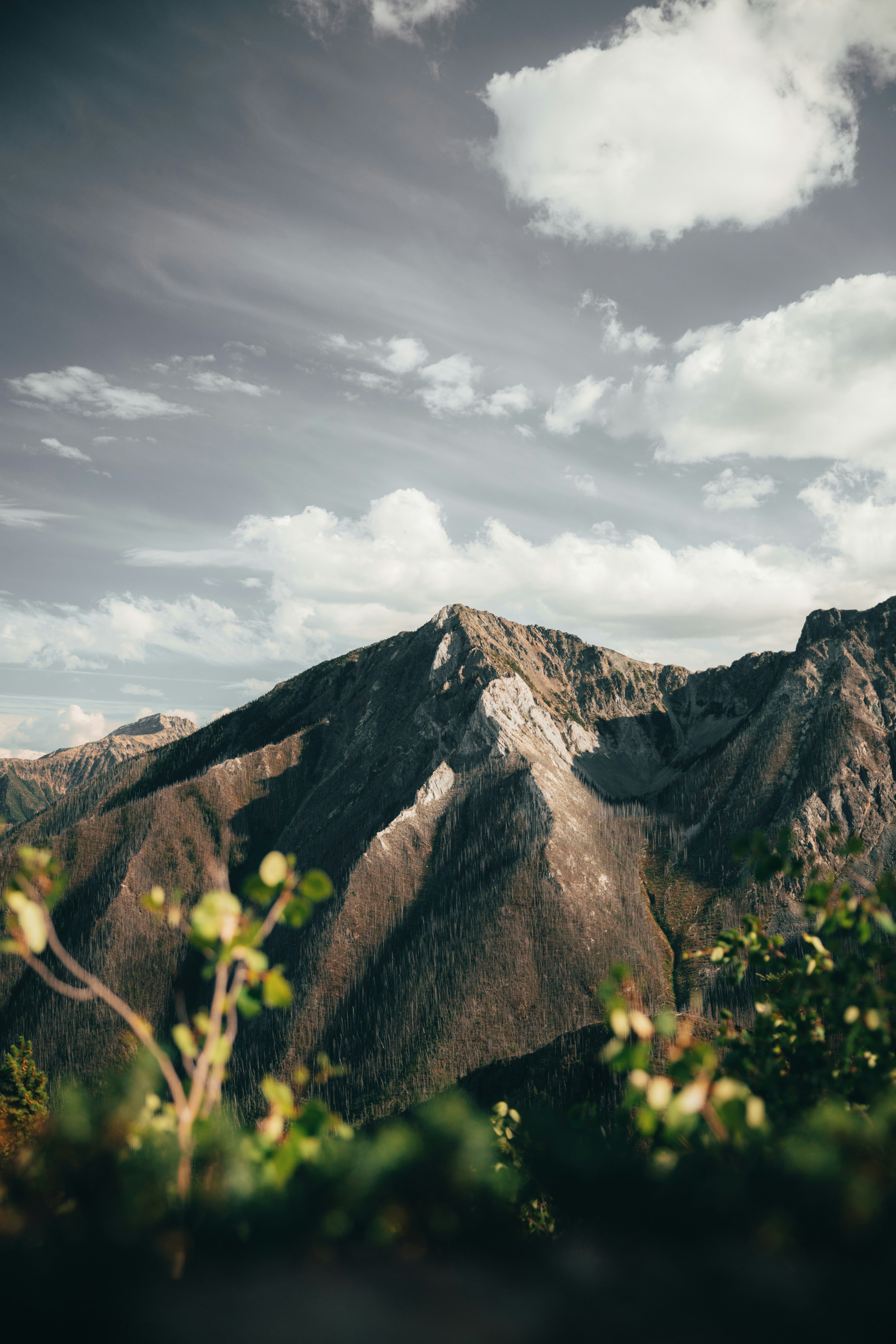 Photo by time_freeze