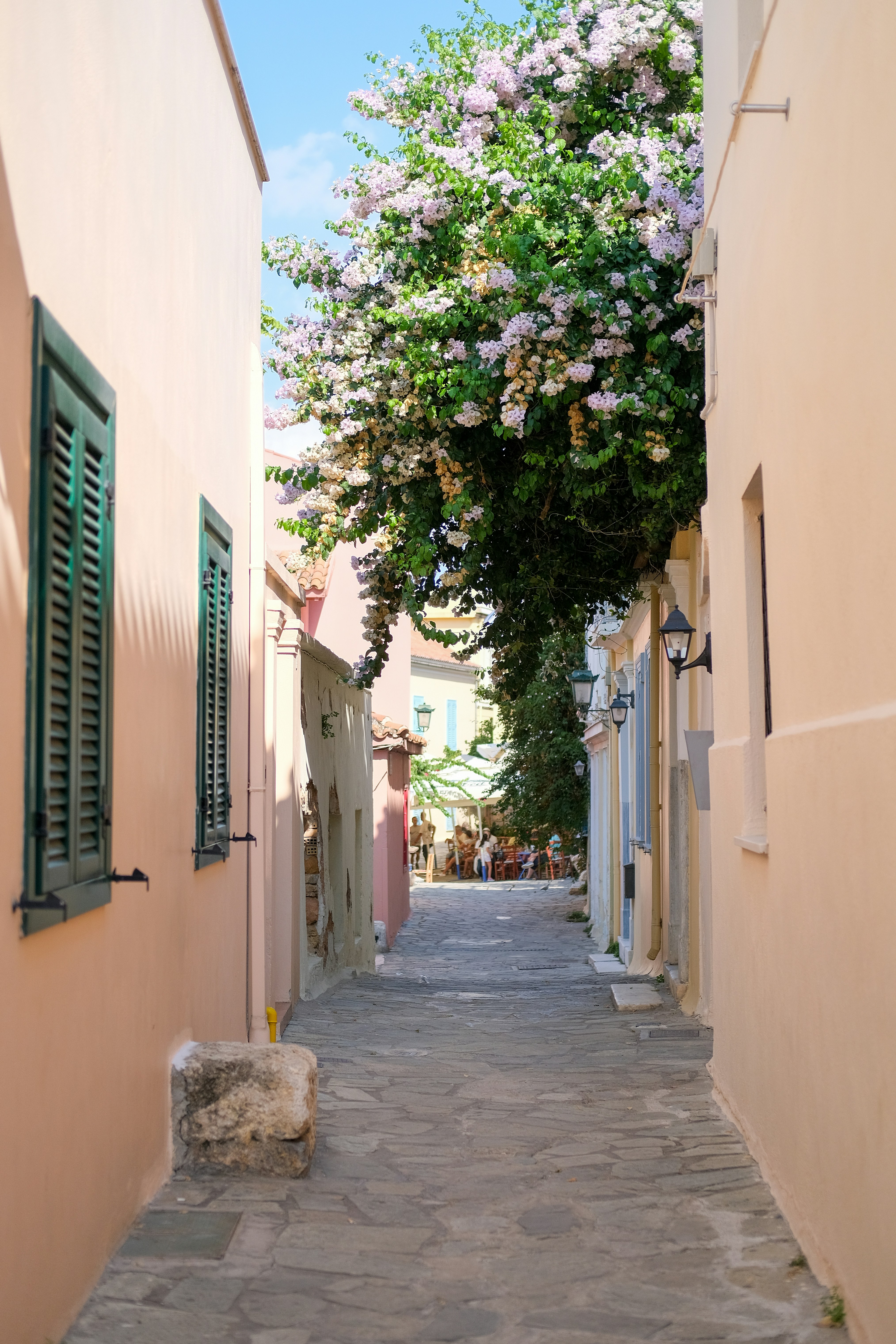 a narrow street with a tree in the middle of it