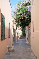 Narrow cobblestone alley lined with vibrant bougainvillea and quaint cafes.
