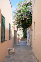 A narrow cobblestone alley lined with pastel-colored houses and blooming bougainvillea.
