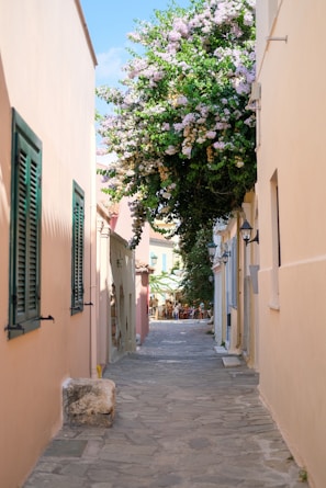 Narrow cobblestone alley lined with vibrant bougainvillea and quaint cafes.