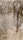 The image displays a textured surface with intricate patterns resembling mold or mildew growth. The texture varies in color, transitioning from dark brown to lighter beige and off-white, with an uneven distribution across the surface.