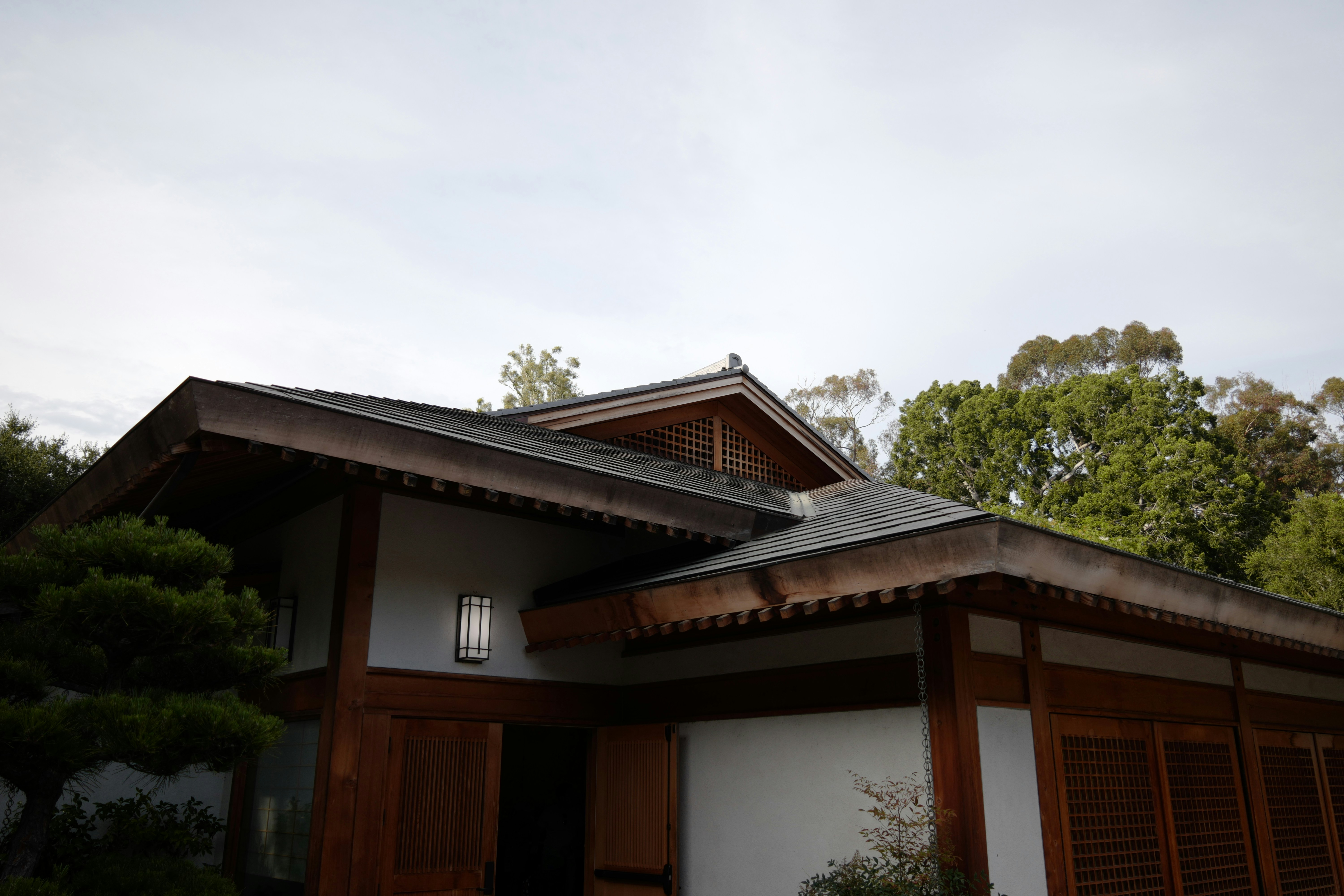 Photo by karurosux