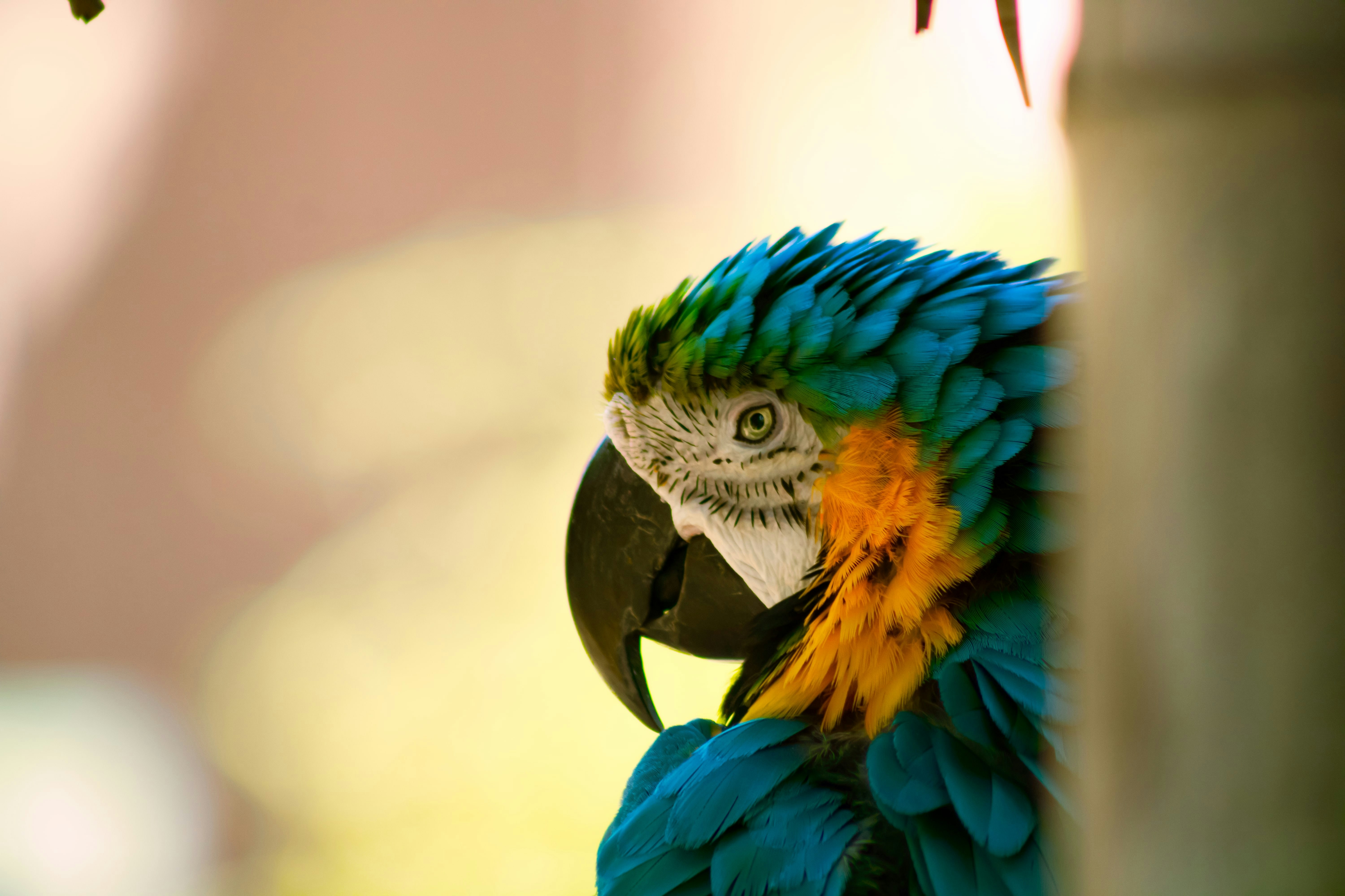 Photo by jonathangongphotography