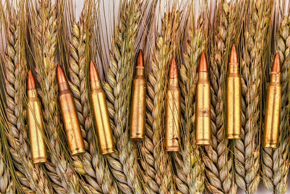 a bunch of bullet shells sitting on top of a pile of wheat