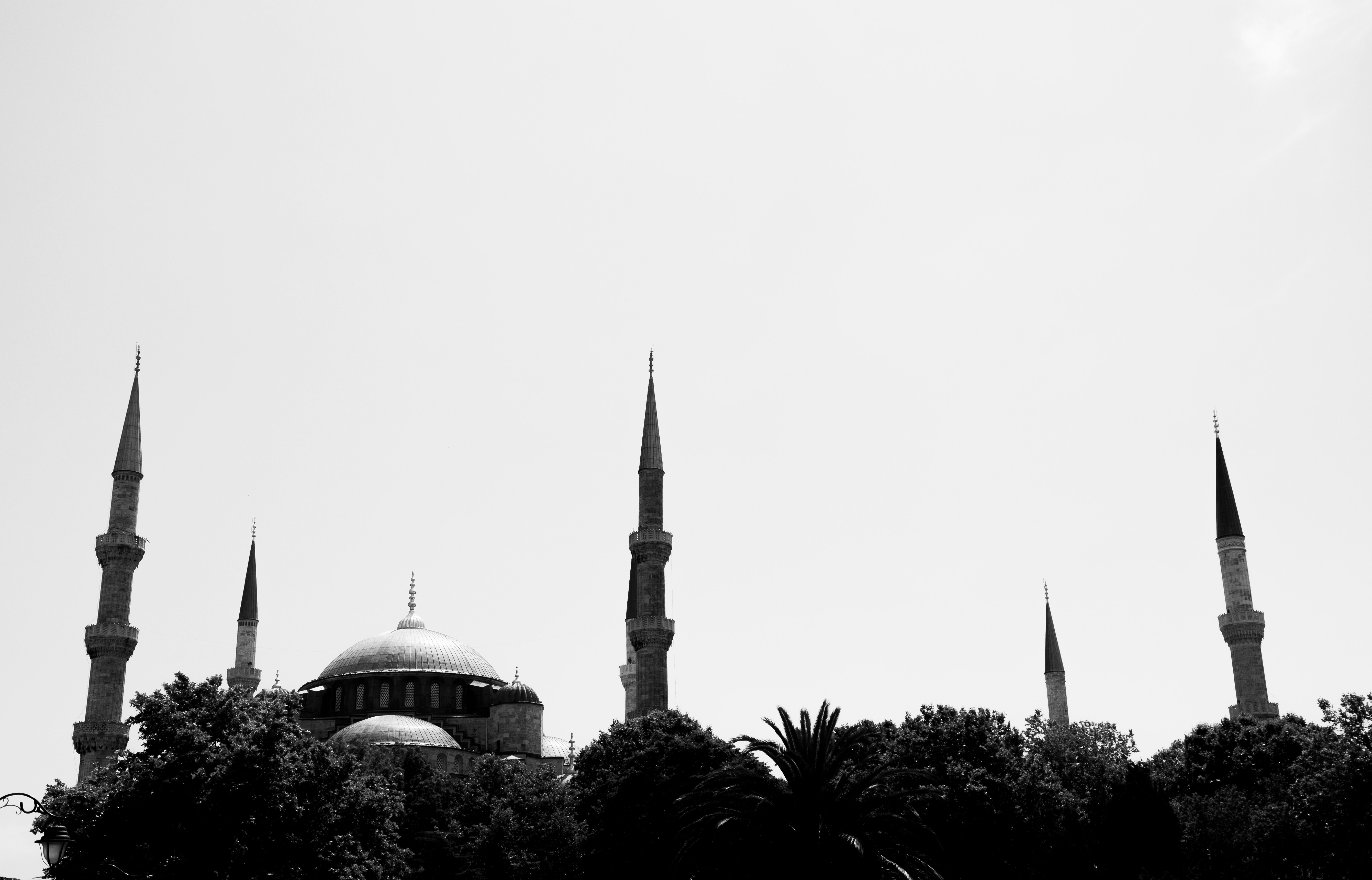 Photo by szocske