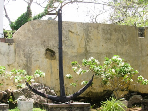 A large, dark anchor is propped against an old, weathered wall with visible cracks and discoloration. Surrounding the anchor are vibrant green shrubs with white flowers, adding a touch of color and life to the scene. In the background, there are bare, intertwined tree branches with some green foliage growing among them, suggesting an outdoor setting.