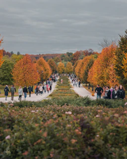 a group of people walking down a path in a park