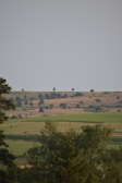 Wide shot of the Ana Terra Nelore Pintado farm landscape with cattle scattered across rolling hills
