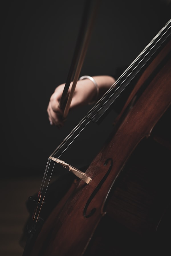 Cellist's bow arm and cello body in low light