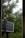 A person is carrying a large solar panel through a lush, green garden area. The environment is rich with greenery, featuring various plants and trees. The lighting suggests an overcast or slightly misty weather, adding a serene atmosphere to the scene.