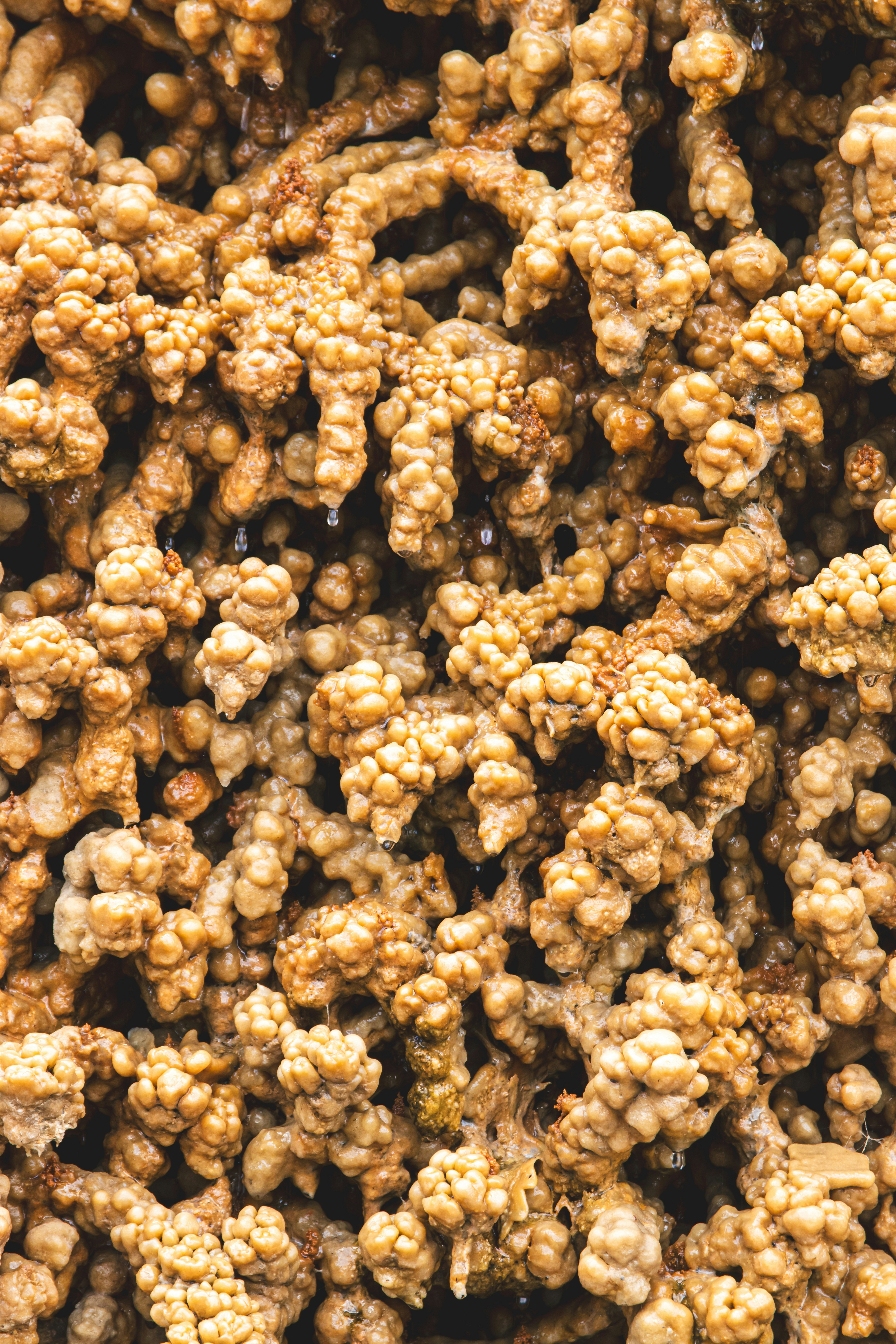 Photo by frozencloud