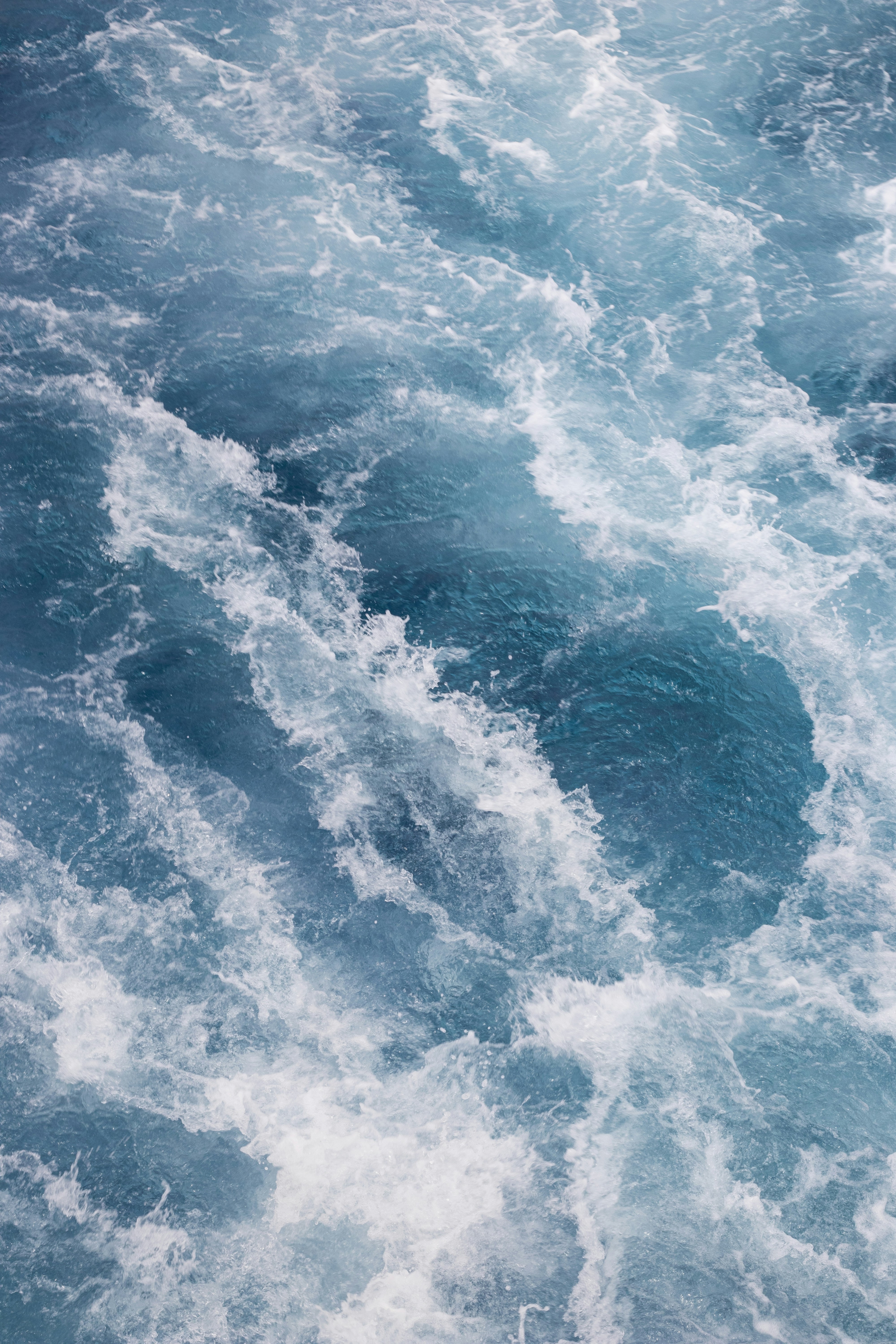 Photo by viktoriia_kondratiuk