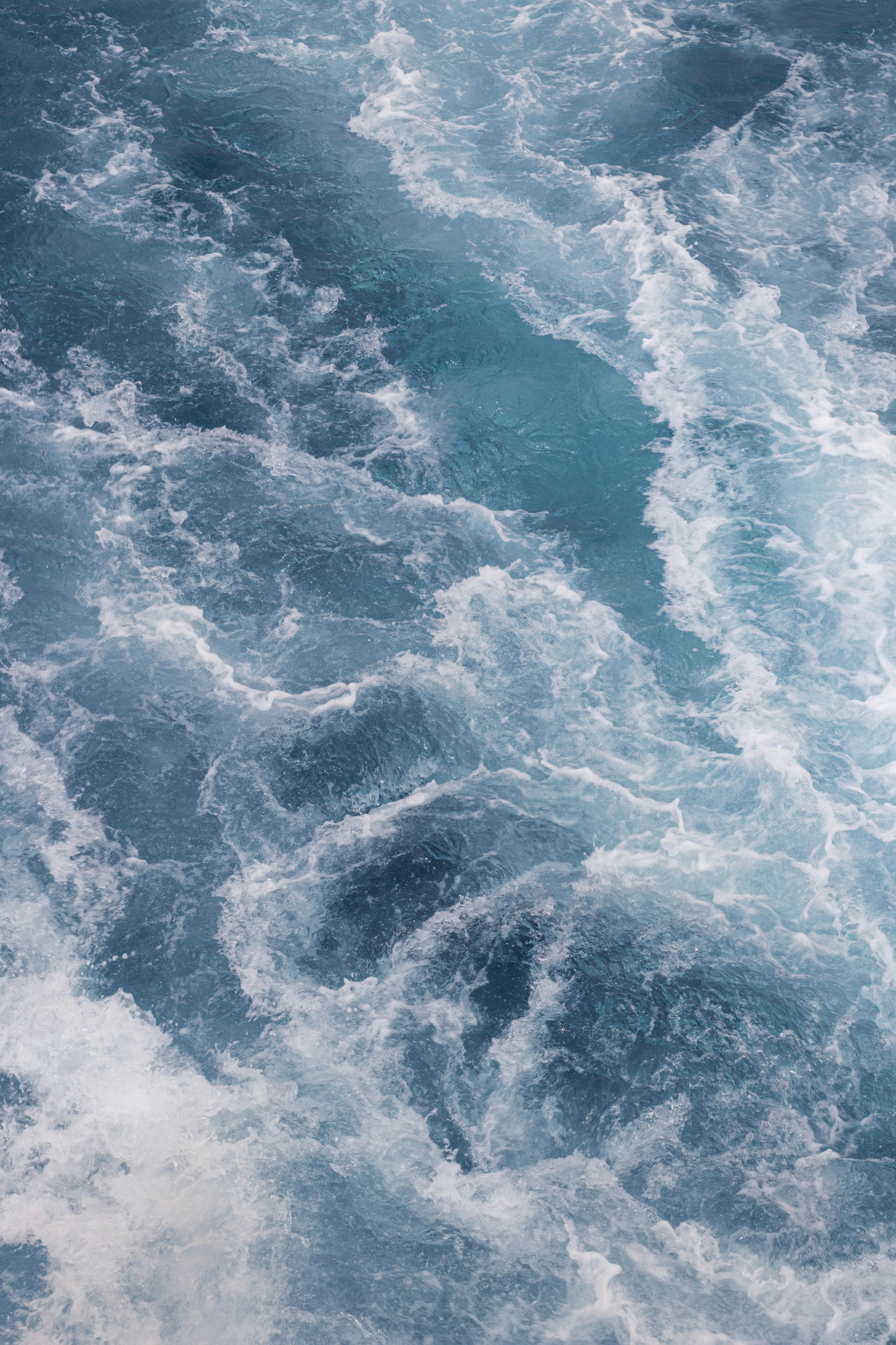 Photo by viktoriia_kondratiuk