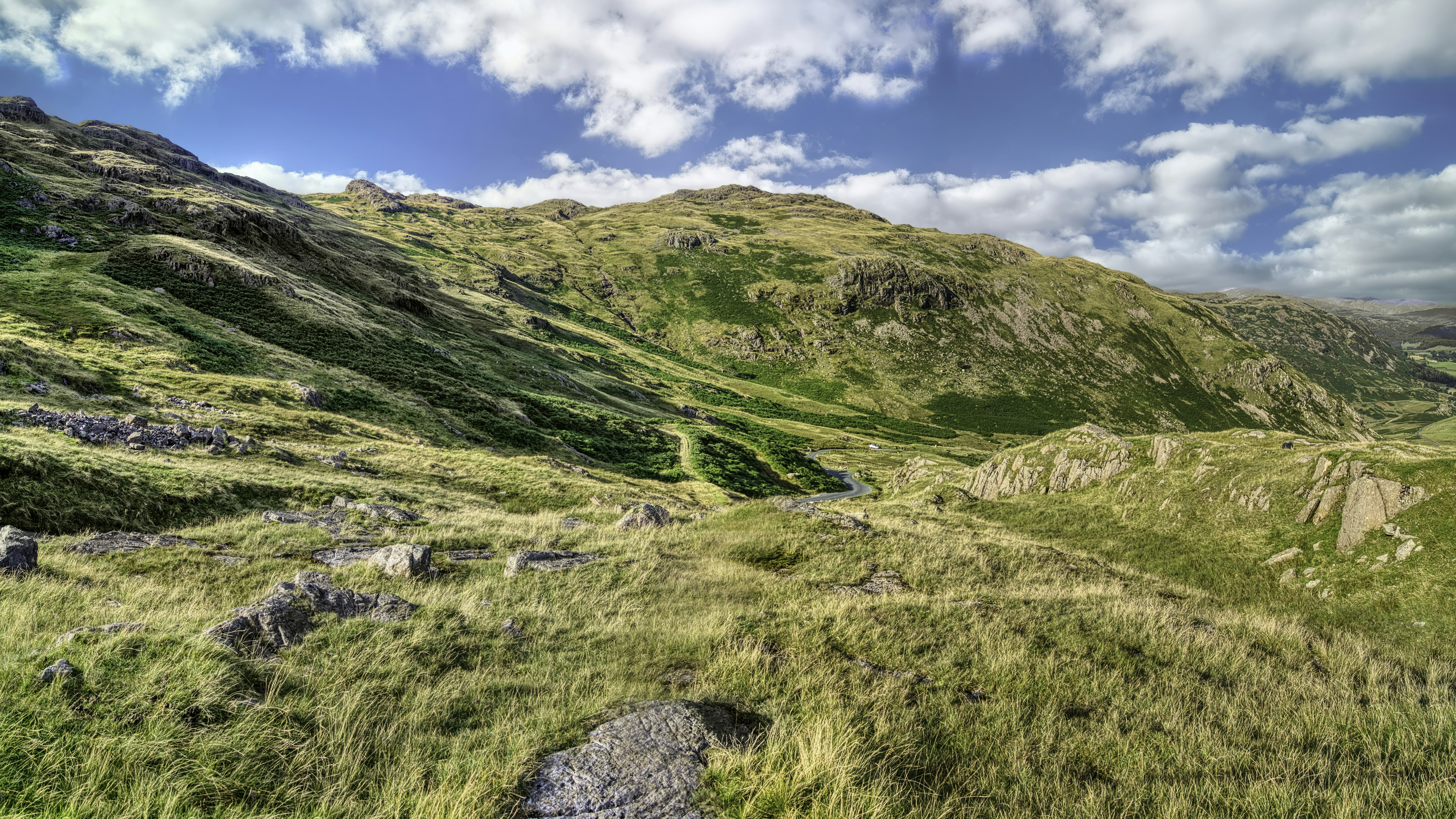 a lush green hillside covered in lots of grass
