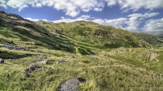 Wide open terrain with natural vegetation and distant hills