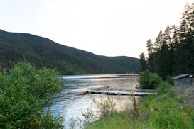 A peaceful lakeside scene featuring a wooden dock extending into the calm water. Surrounded by lush greenery, a small shed stands to the right, nestled among tall pine trees. The background shows rolling hills covered in dense forest, under a soft, light sky.