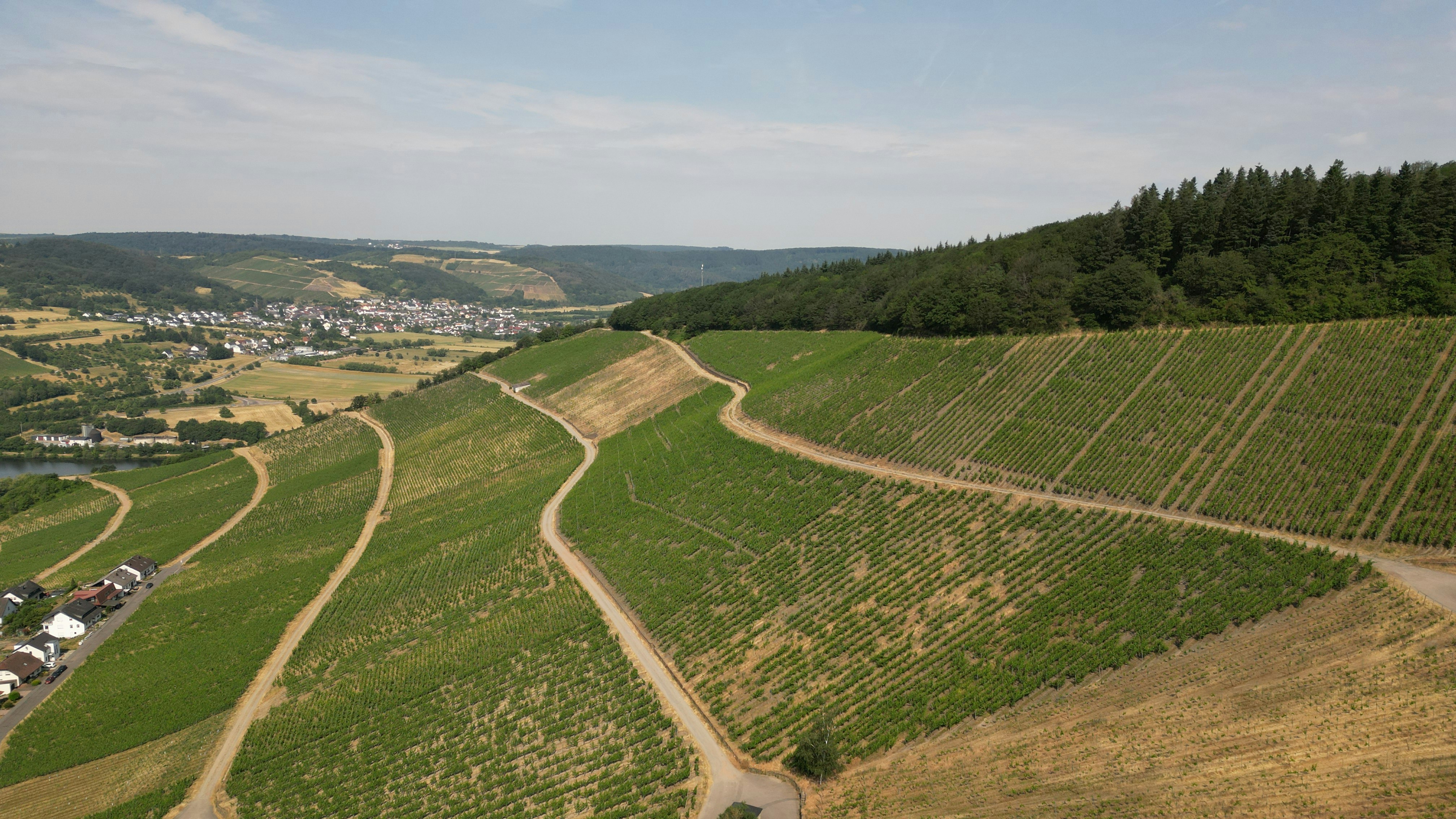 The Best Wine Regions in France for Beginners