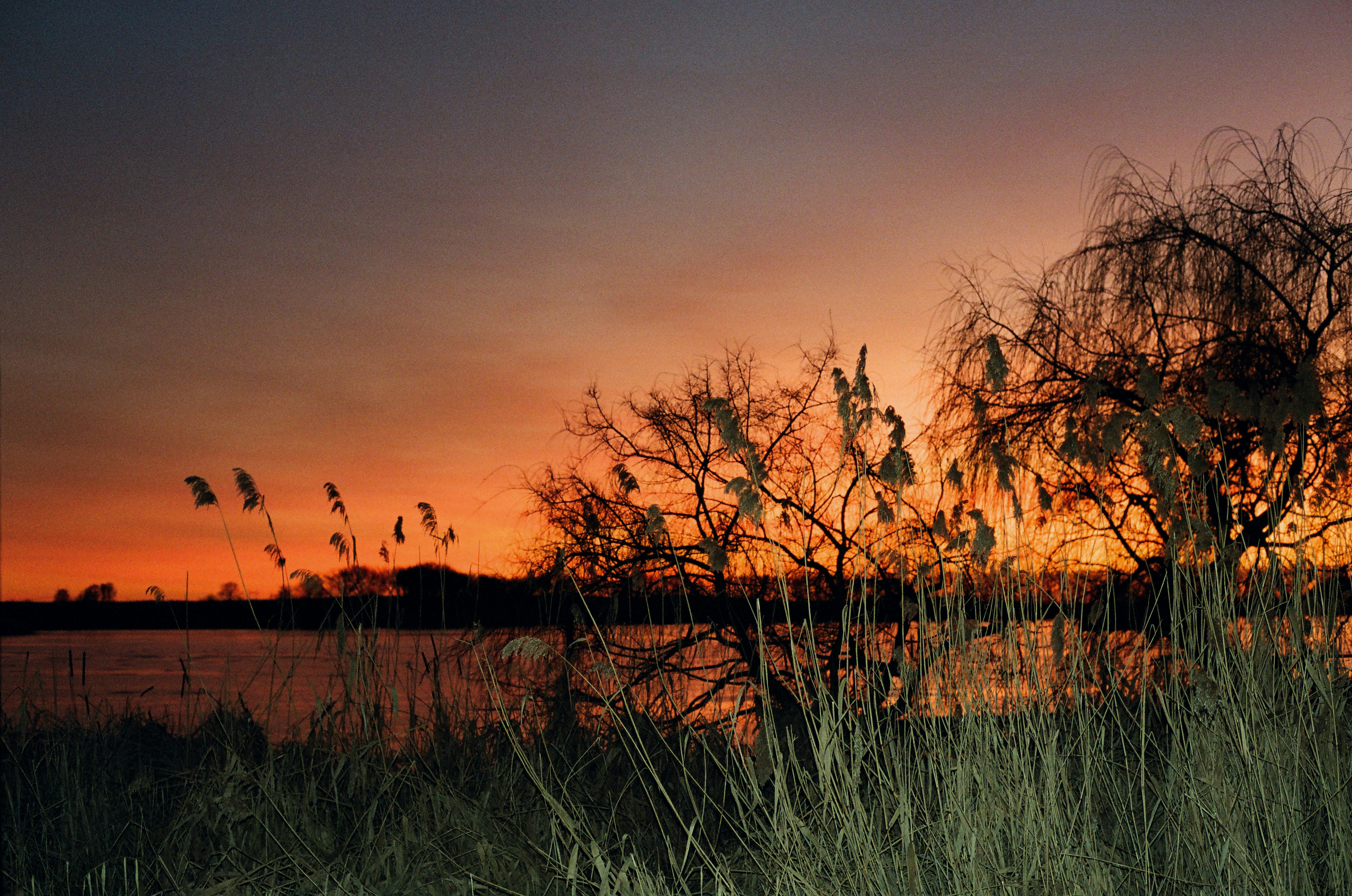 Photo by mineral_of_demon