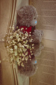 A cuddly plush bear wearing a tiny scarf, sitting next to a stack of storybooks.