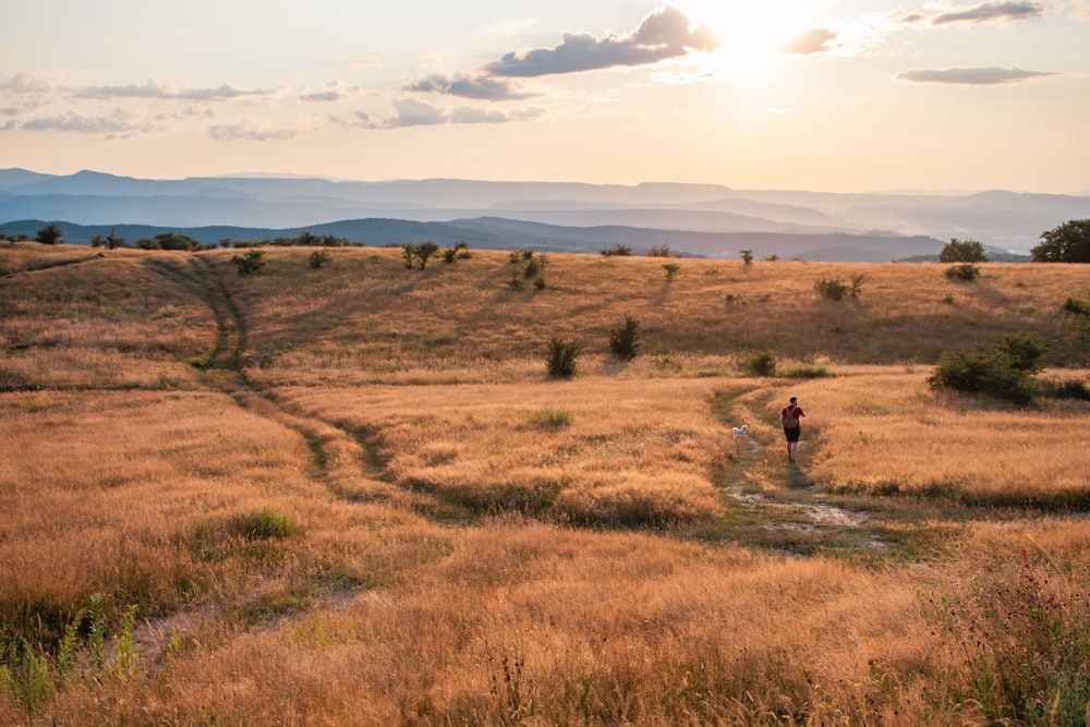 uma pessoa está andando por um campo com montanhas ao fundo