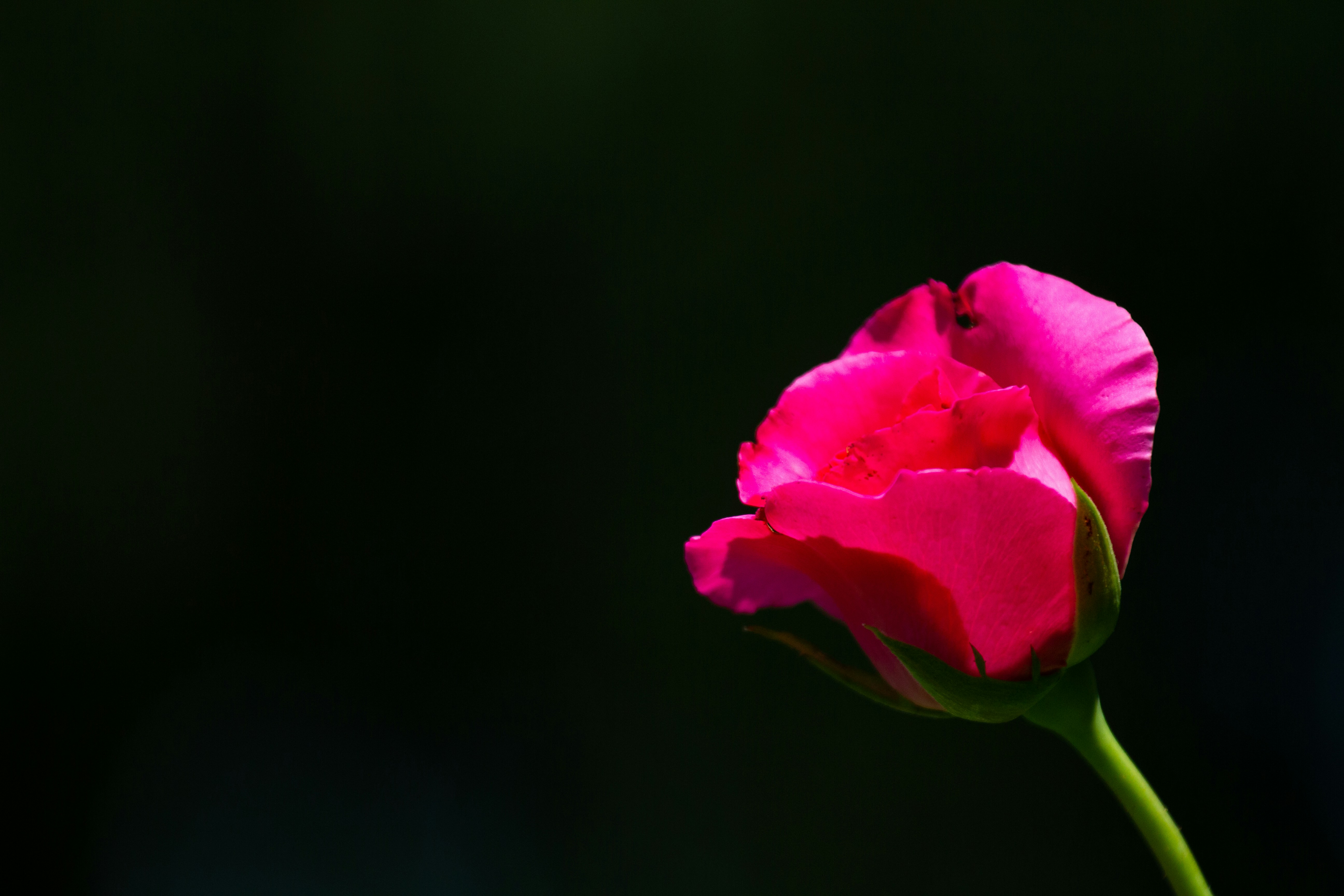 Photo by mattia_poli_04