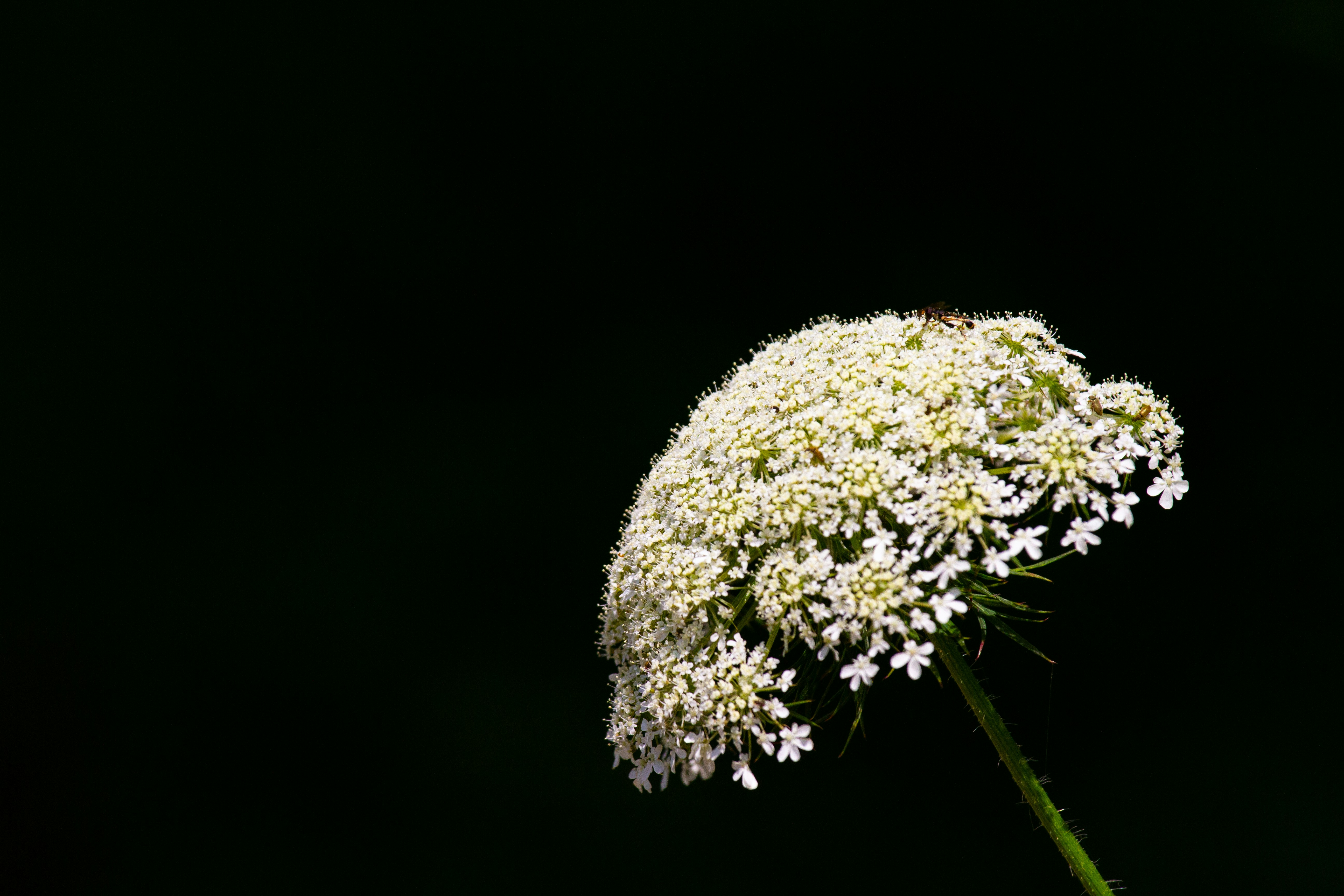 Photo by mattia_poli_04