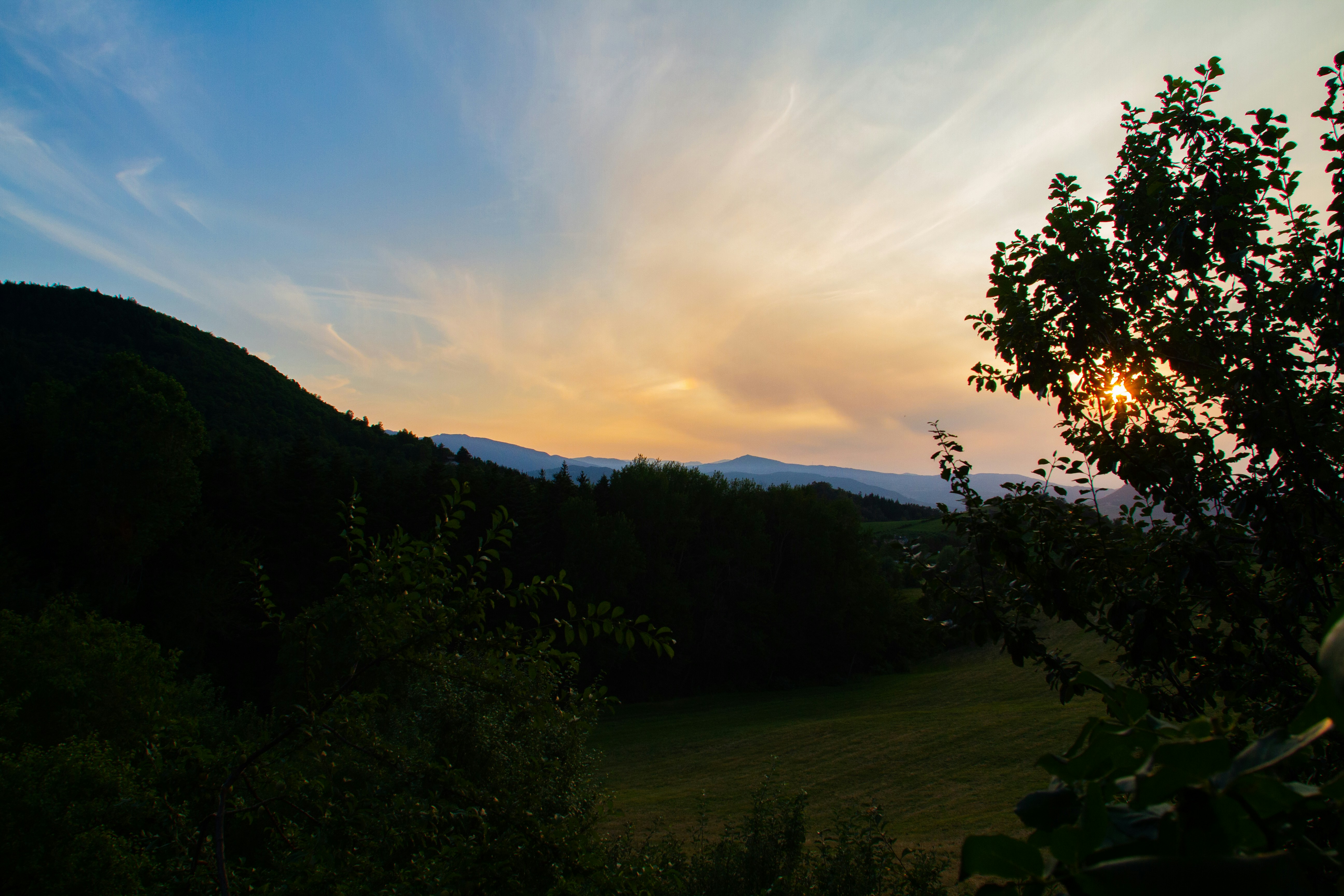 Photo by mattia_poli_04