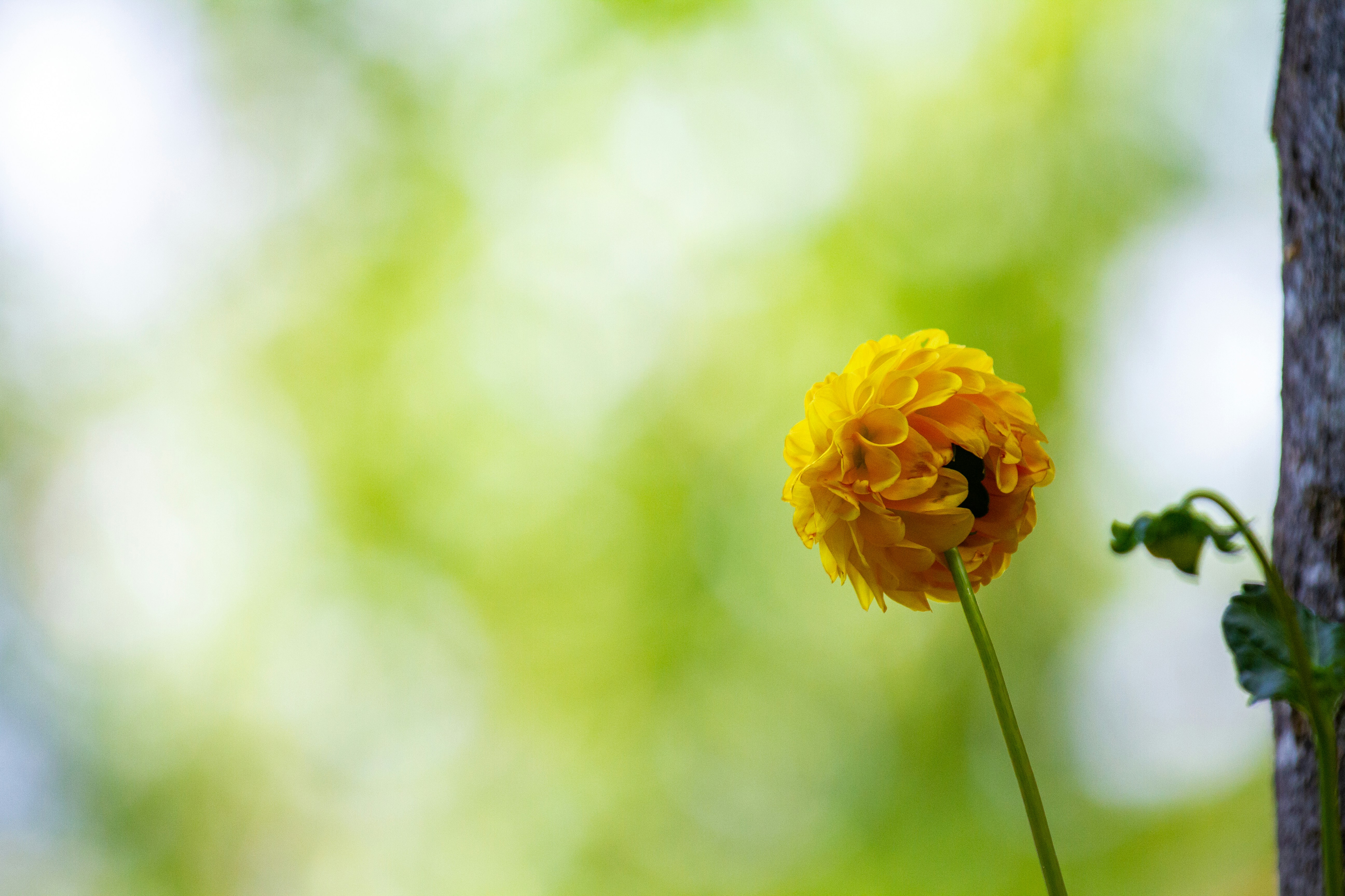 Photo by mattia_poli_04