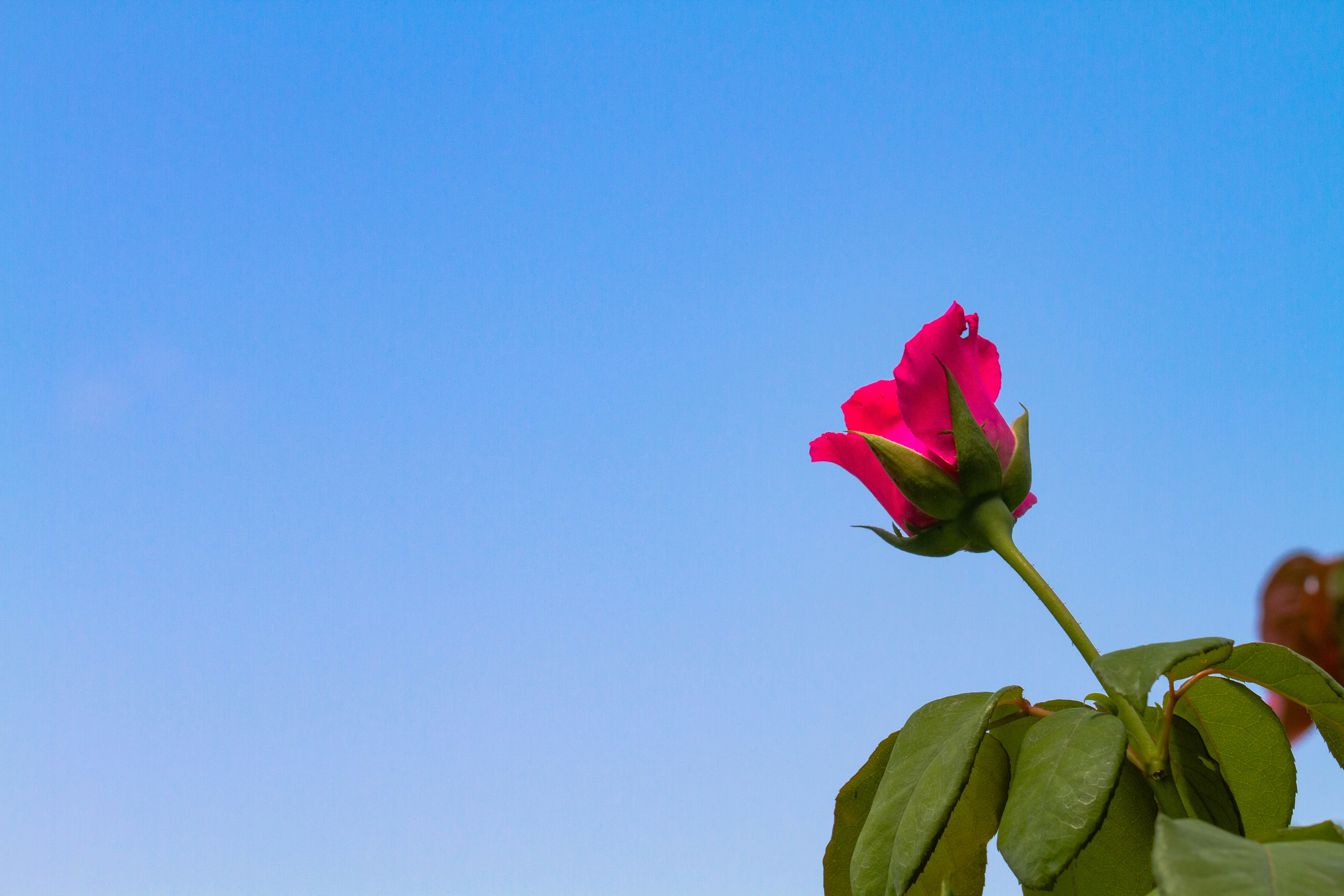 Photo by mattia_poli_04