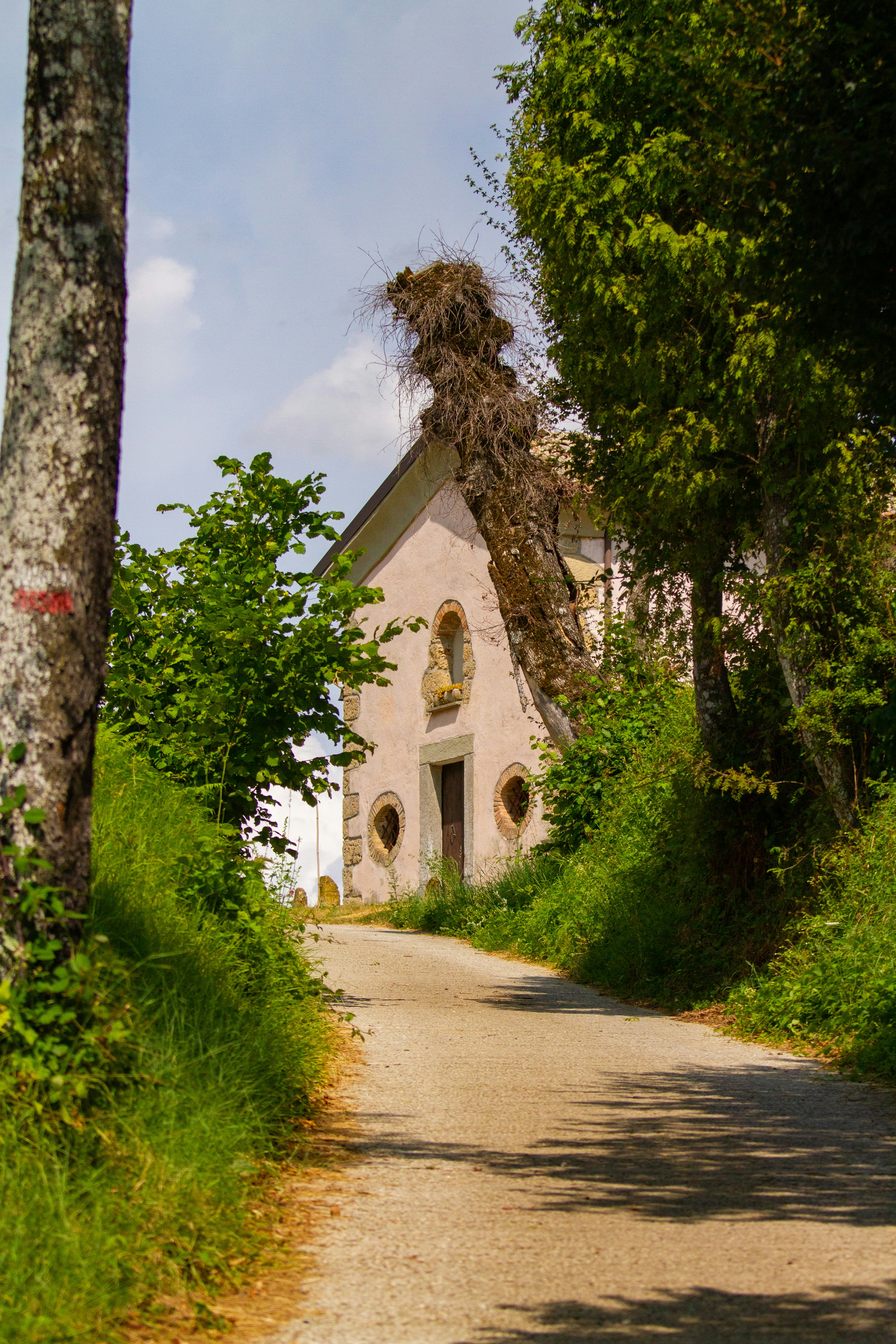 Photo by mattia_poli_04