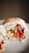 A close-up view of a burrito cut in half, displaying its colorful filling. Inside the burrito, there is visible white rice, fresh greens, red bell peppers, and purple beans, all wrapped in a tortilla. The ingredients appear fresh and vibrant, and the tortilla has a slight char.