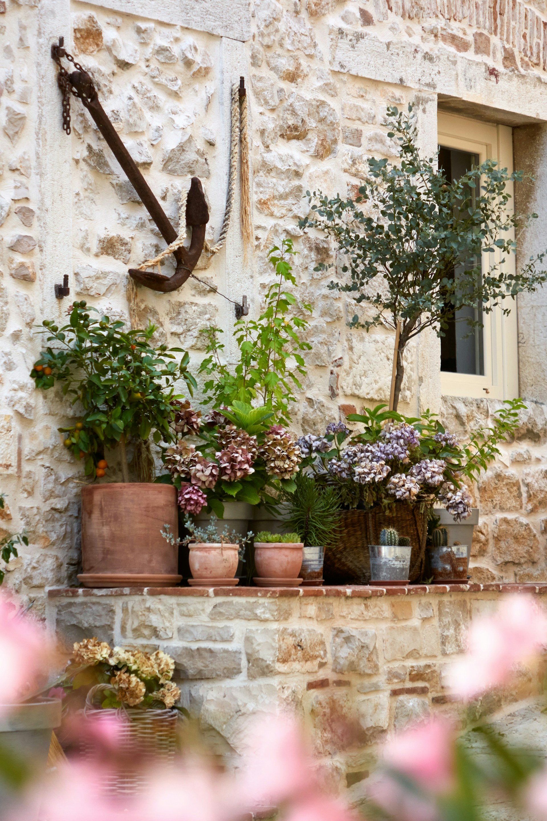a bunch of potted plants sitting on a ledge