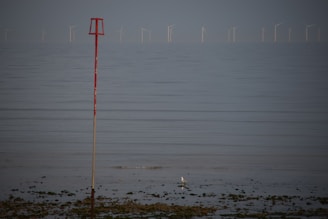 A serene coastal scene with calm waters and a row of wind turbines in the distance. In the foreground, a red navigation marker stands tall on the shoreline, which is dotted with small rocks and patches of sand. A lone seabird is perched on the ground nearby.