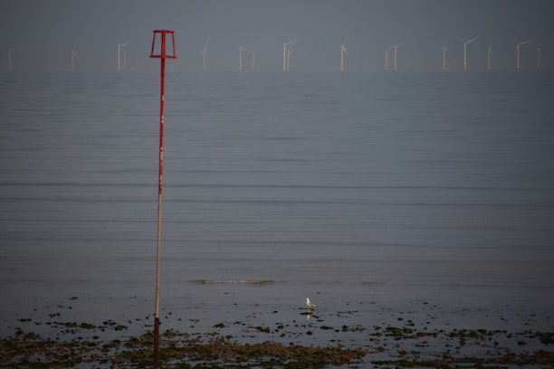 A serene coastal scene with calm waters and a row of wind turbines in the distance. In the foreground, a red navigation marker stands tall on the shoreline, which is dotted with small rocks and patches of sand. A lone seabird is perched on the ground nearby.