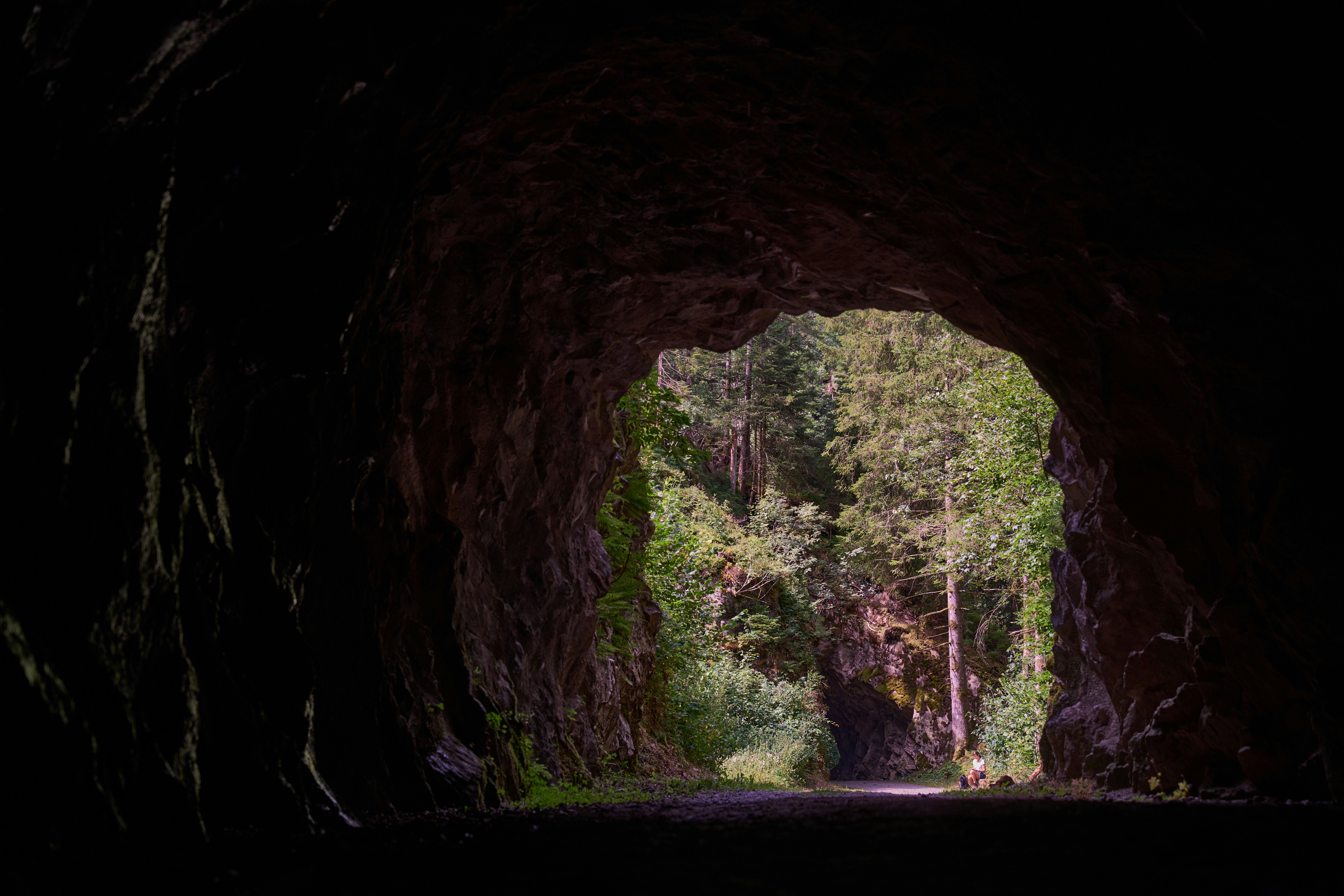 Photo by wolfgang_hasselmann