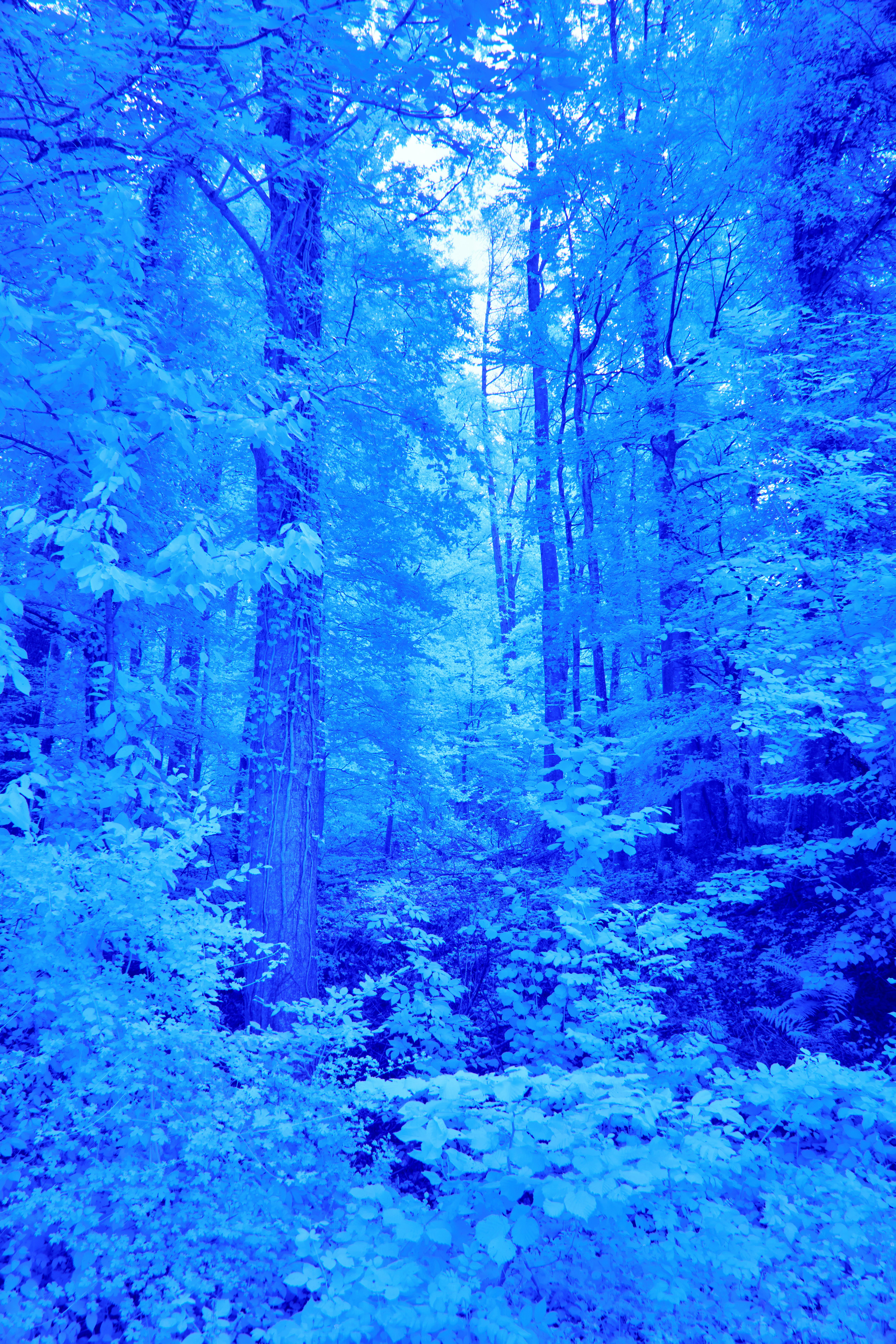 photo-1690197280934-0b97a402d0b5?ixid=M3wxMjA3fDB8MXxzZWFyY2h8MTB8fGZhYnV3b29kJTIwZ2FsYXh5JTIwZnJvc3R8ZW58MHx8fHwxNzQ4NDk3MjEyfDA\u0026ixlib=rb-4.1.0
