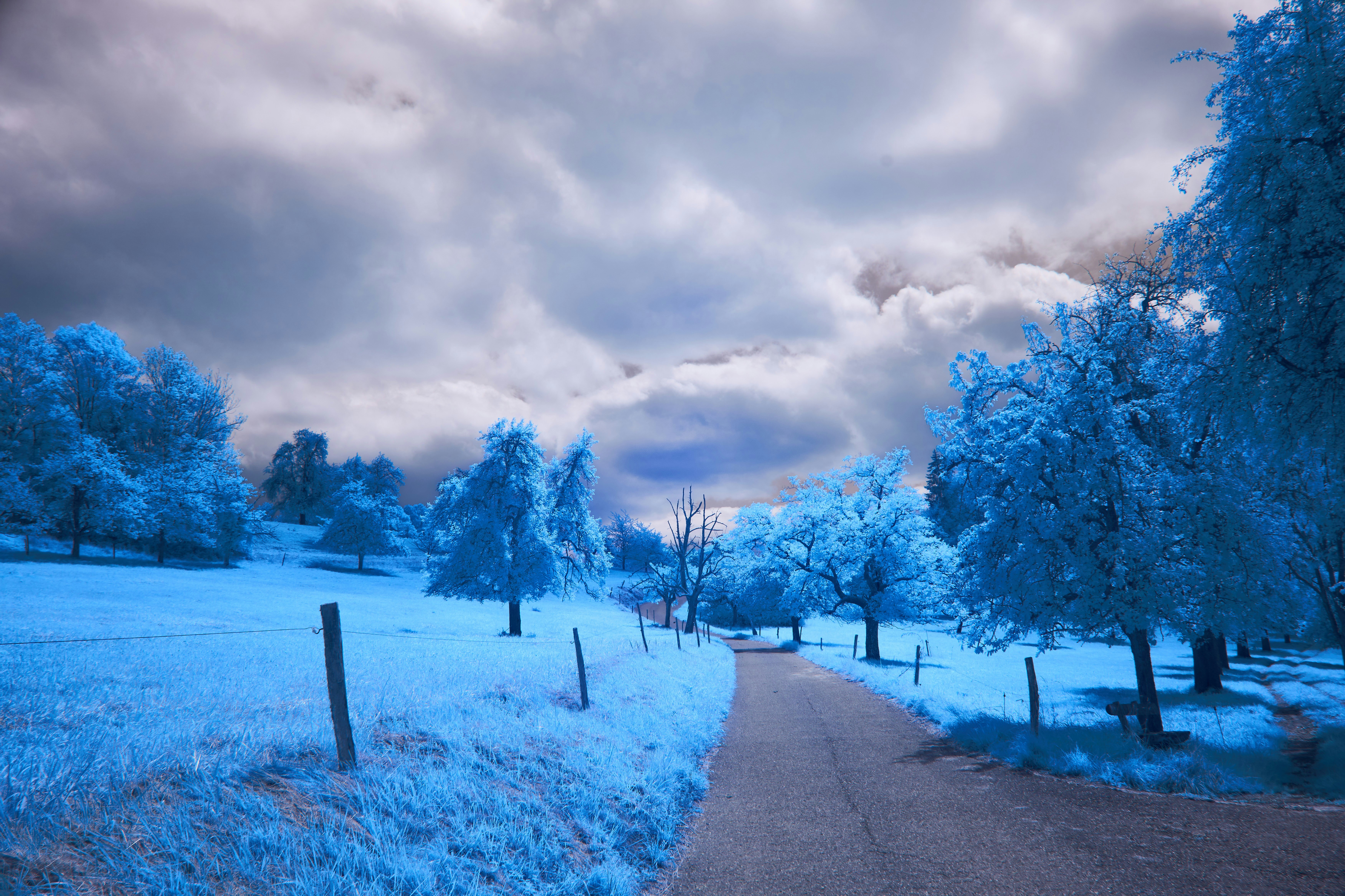 Photo by wolfgang_hasselmann