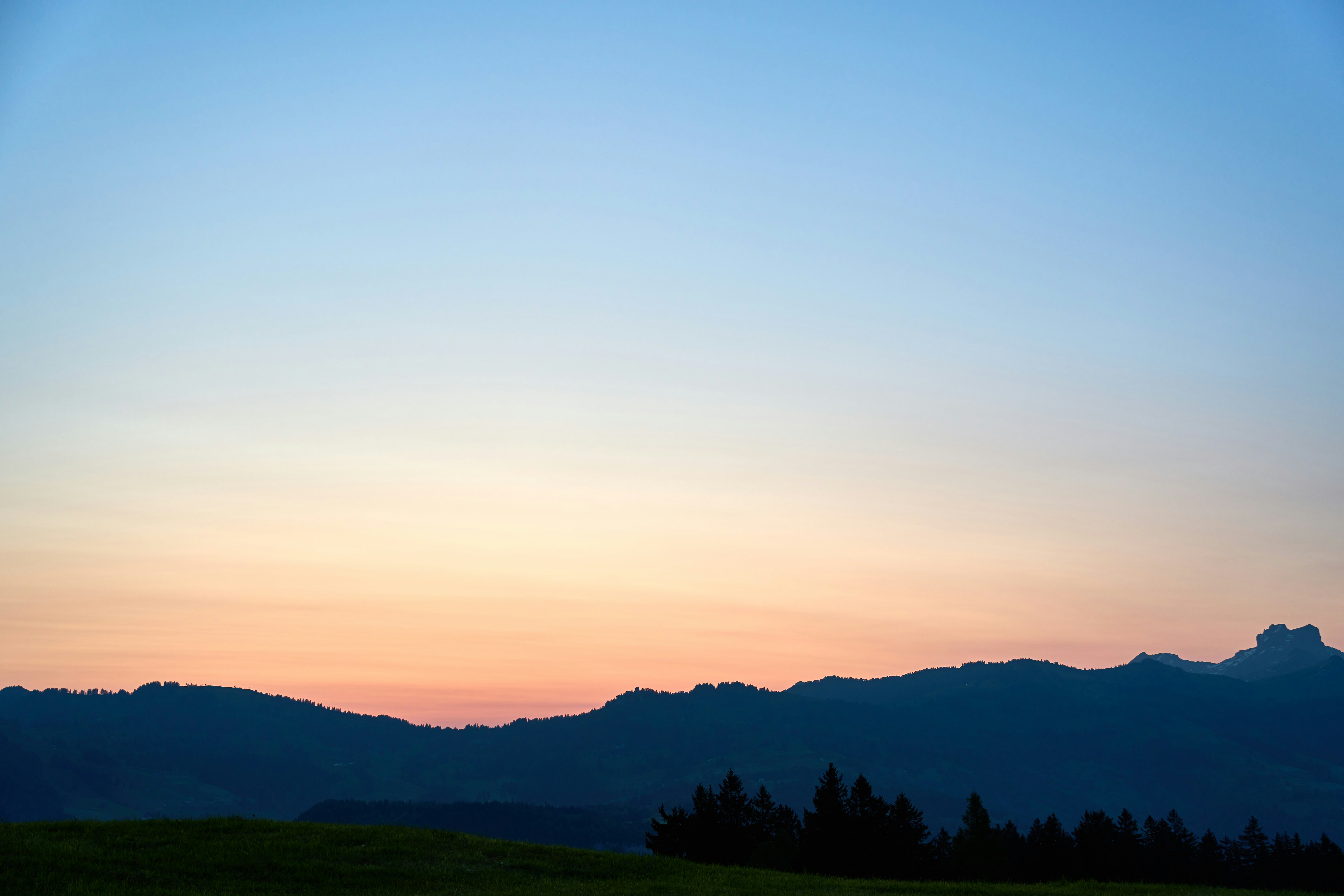 Photo by wolfgang_hasselmann