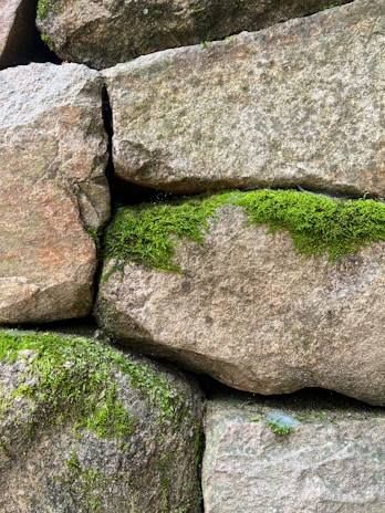 Stacks of vibrant green stone slabs neatly arranged in a sunlit quarry.