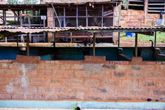 A rustic outdoor setup featuring a series of concrete tanks divided by partitions, with a brick wall in the foreground. The background shows a partially covered area with a metal roof, possibly a shed or animal enclosure. Some greenery is visible, suggesting an outdoor agricultural or farm setting.