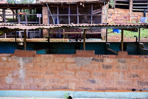 A rustic outdoor setup featuring a series of concrete tanks divided by partitions, with a brick wall in the foreground. The background shows a partially covered area with a metal roof, possibly a shed or animal enclosure. Some greenery is visible, suggesting an outdoor agricultural or farm setting.